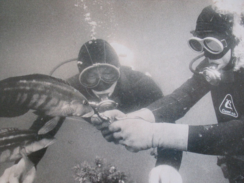 Historia del Buceo