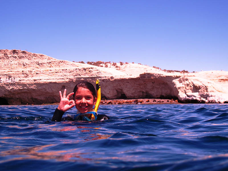 Snorkel con lobos marinos