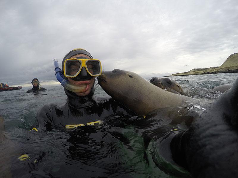 Snorkel con lobos marinos