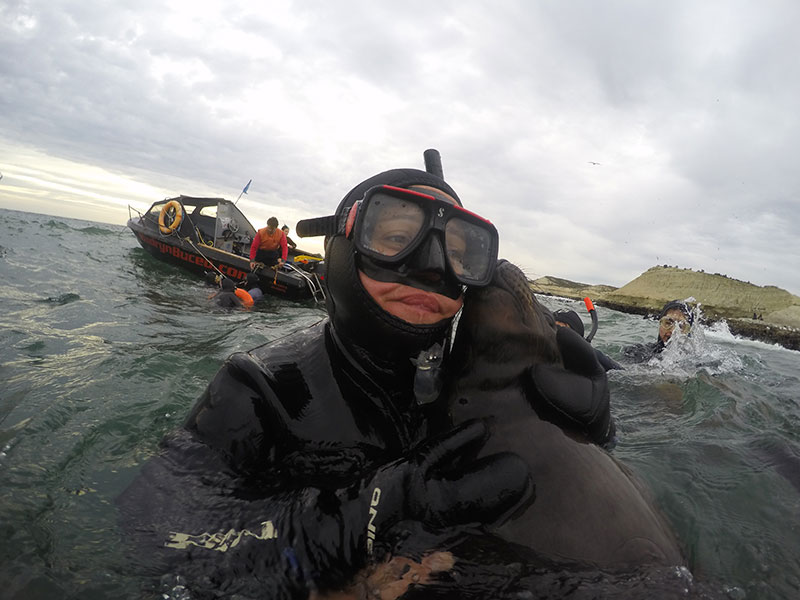 Snorkel con lobos marinos